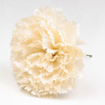 Flamenco Artificial Carnations. Sevilla Model. Cream 4.132€ #5041916109CR17